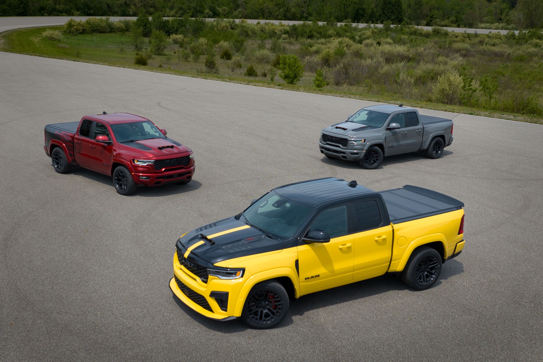 Rodzina Ram Rumble Bee