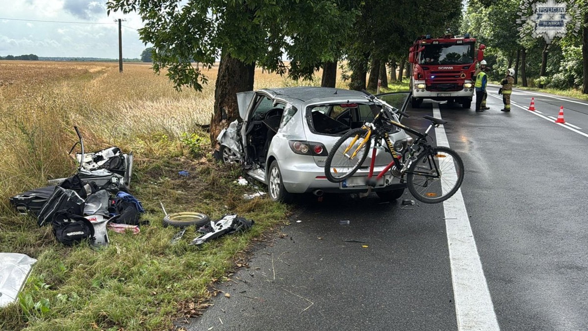 Samochód z niewyjaśnionych przyczyn uderzył w drzewo