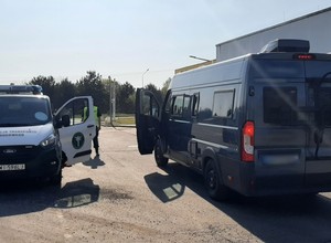 Zwykła kontrola kampera zamieniła się w scenę z dreszczowca