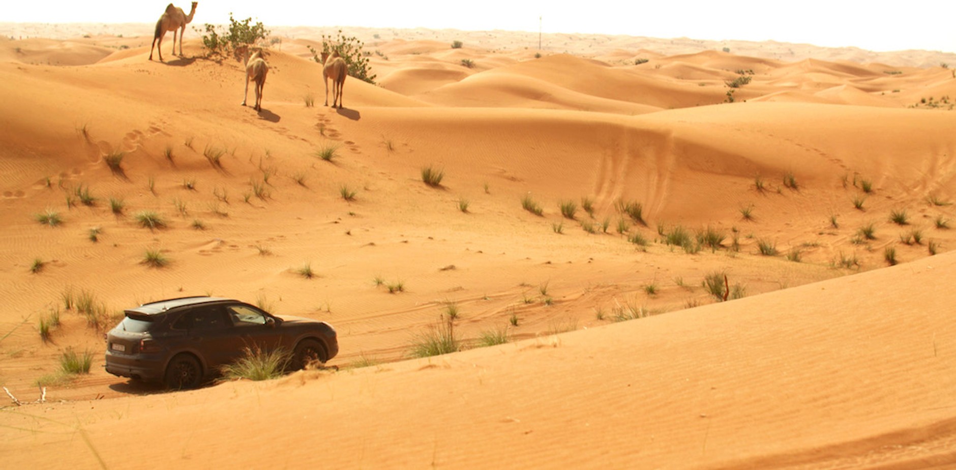 Porsche Cayenne trzeciej generacji podczas testów