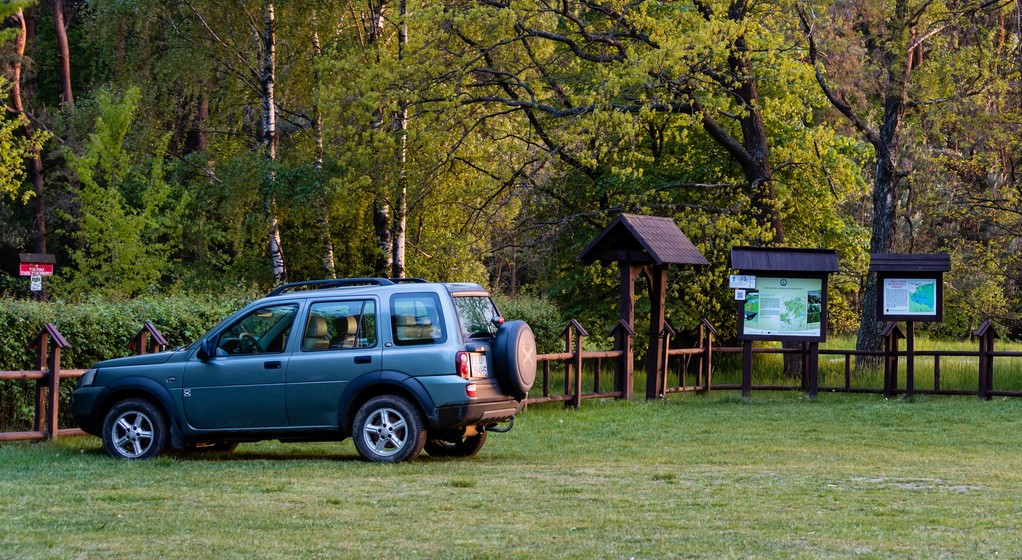 Parking w pobliżu lasu