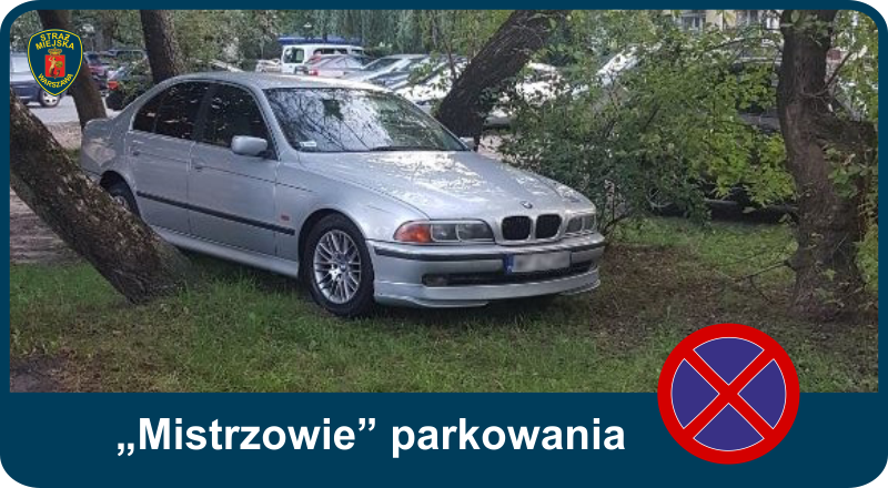 „Mistrzowie” parkowania w Warszawie