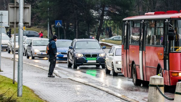 Dodatkowe zielone światło na aucie może stać się obowiązkowe. UE jest zainteresowana