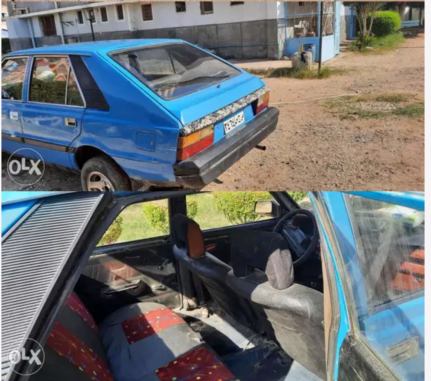 Polonezy z egipskich ogłoszeń