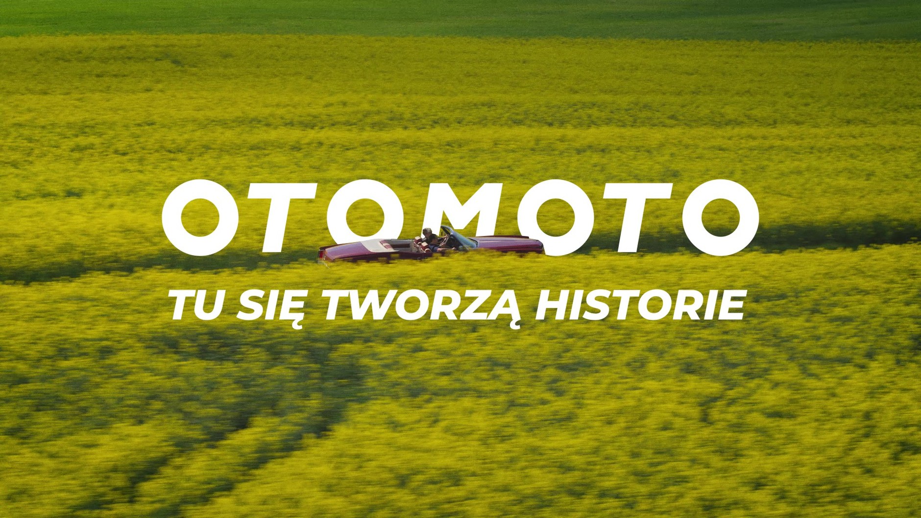 Prawdziwe Historie Otomoto