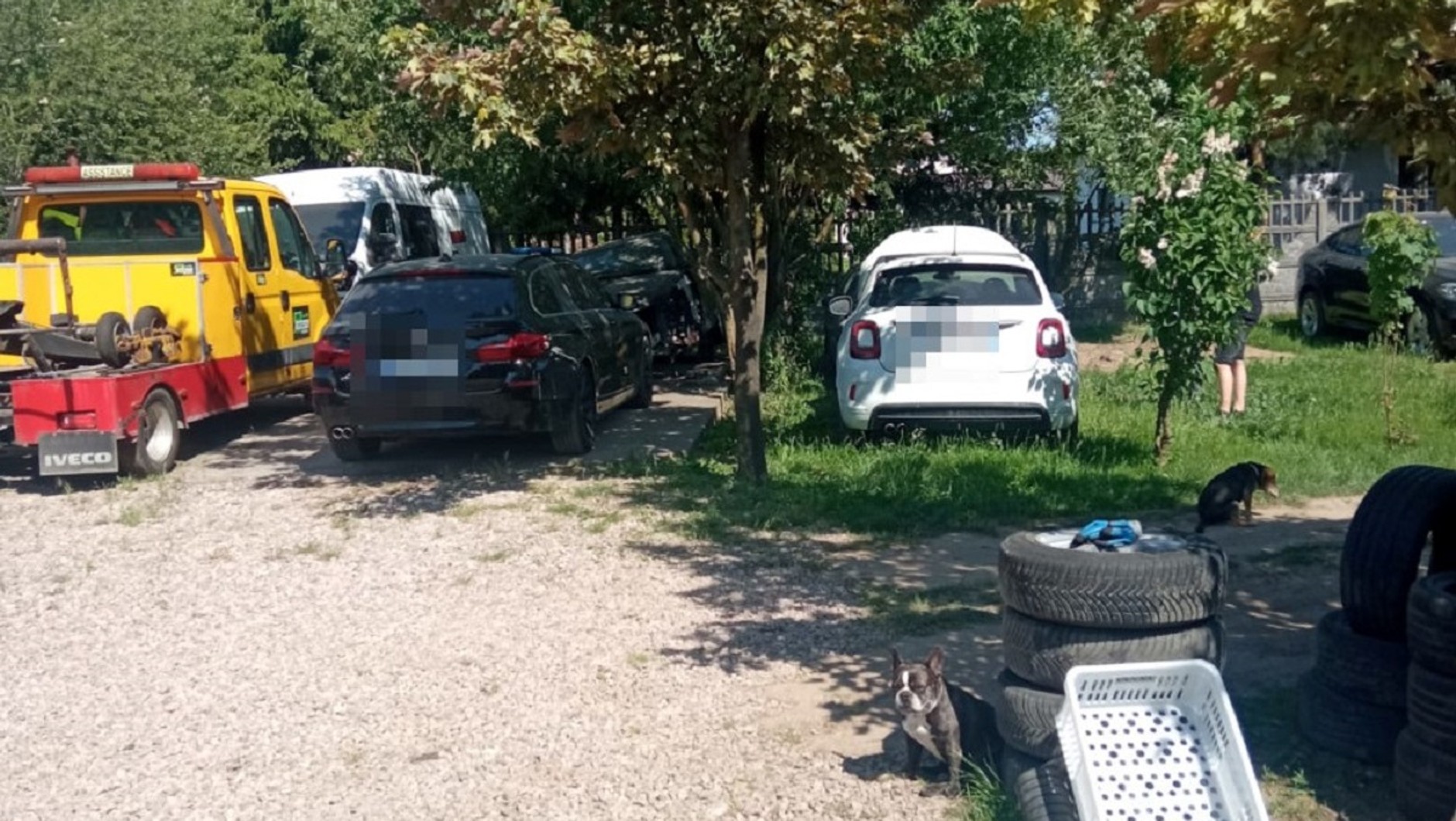 Skradziony Fiat 500X stał porzucony w krzakach