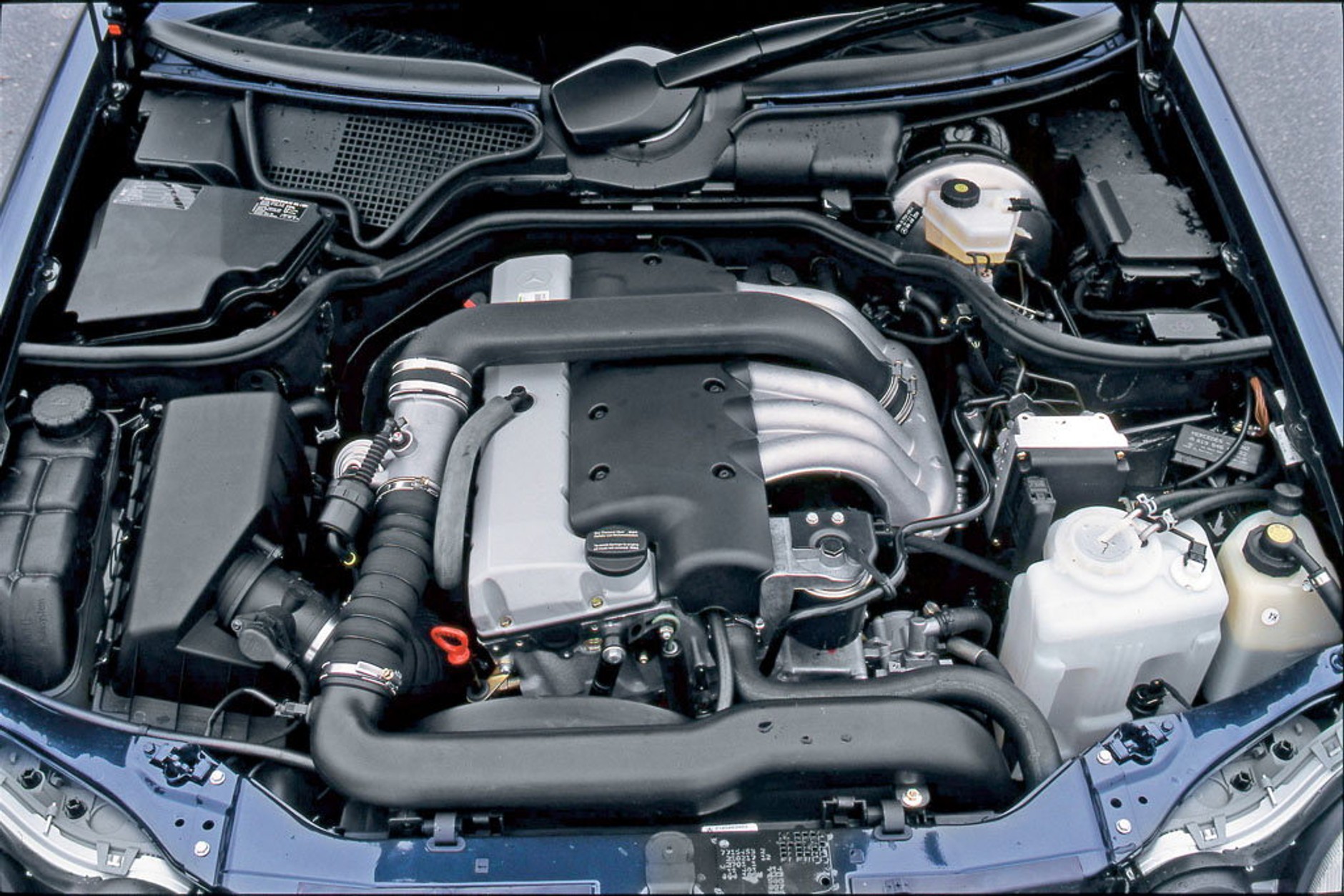 Ofiara rdzy, ale z dobrym dieslem - Mercedes klasy E W210 2.9 TD