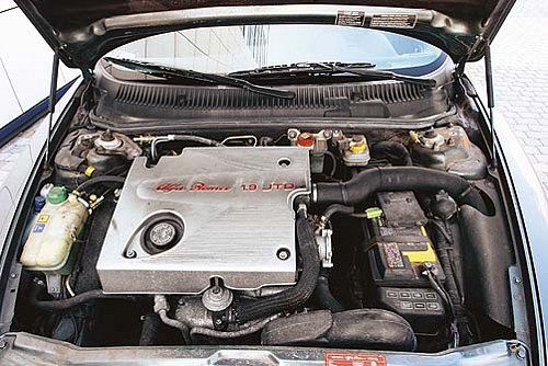 Alfa dla aktywnych