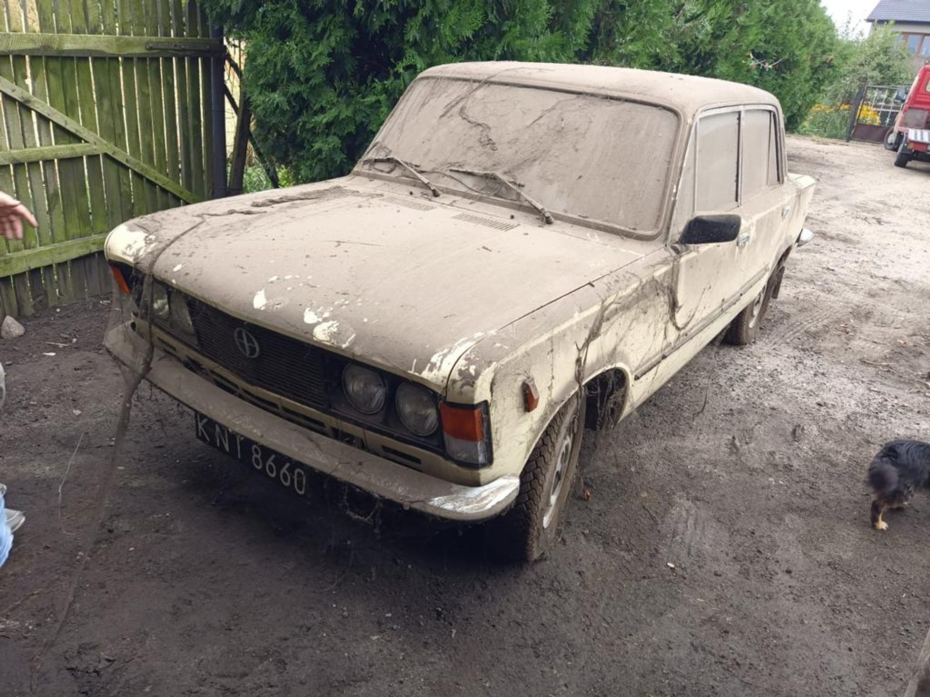 Tak auto wyglądało po kilkudziesięciu latach w garażu.