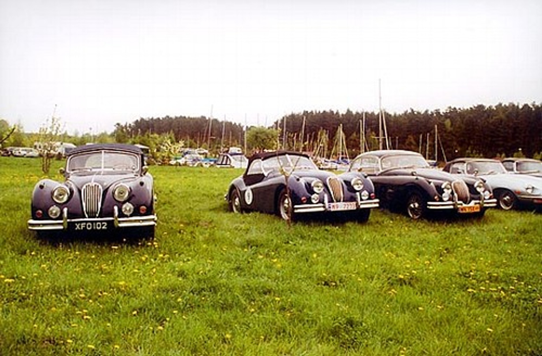 II Królewski Rajd Samochodów Zabytkowych