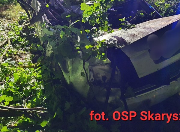 19-latek ściął pięć drzew. Auto "złożyło się" jak harmonijka