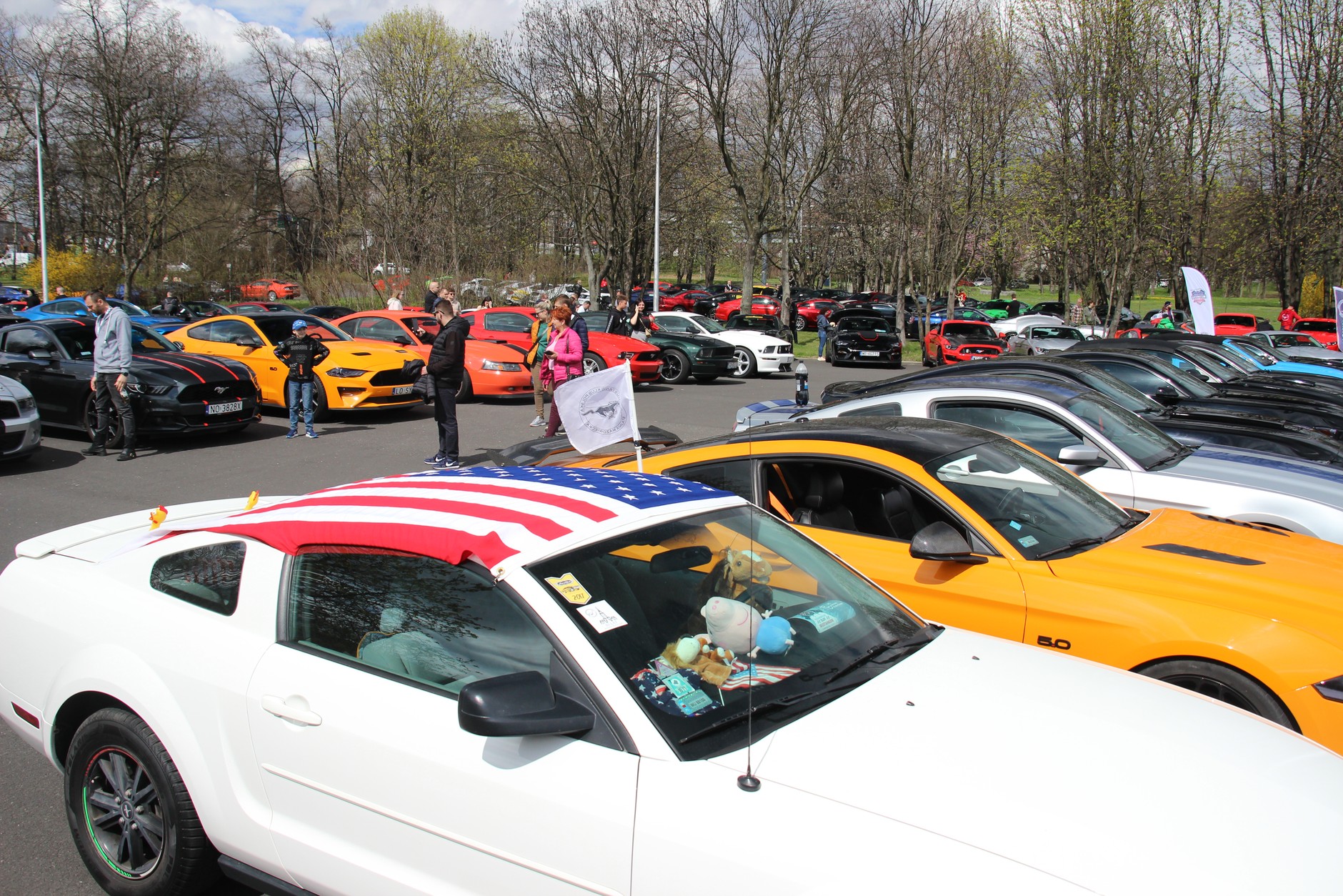 XV Ogólnopolski Zlot Mustangów