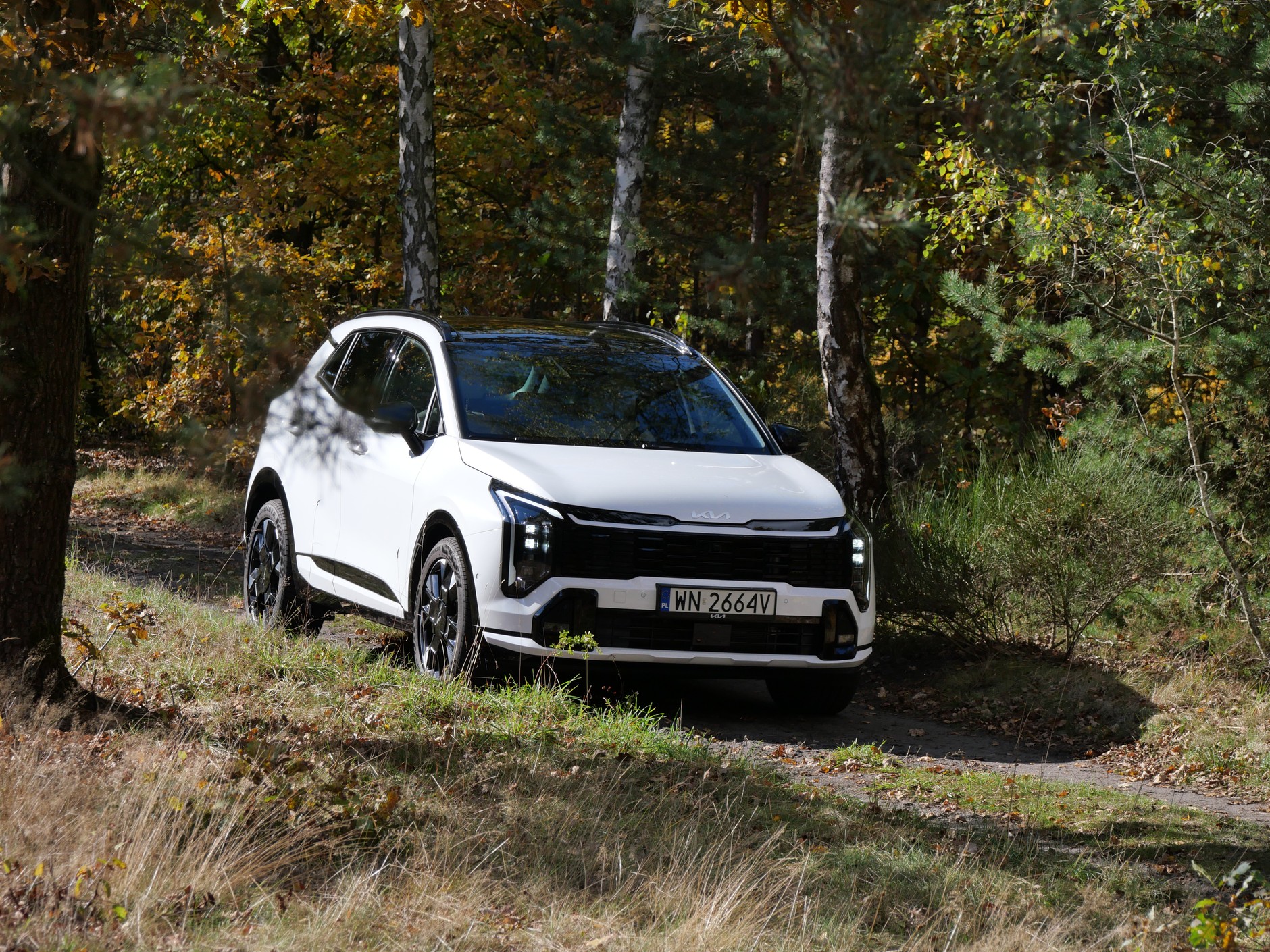 Kia Sportage 1.6 T-GDI AWD w wersji GT Line