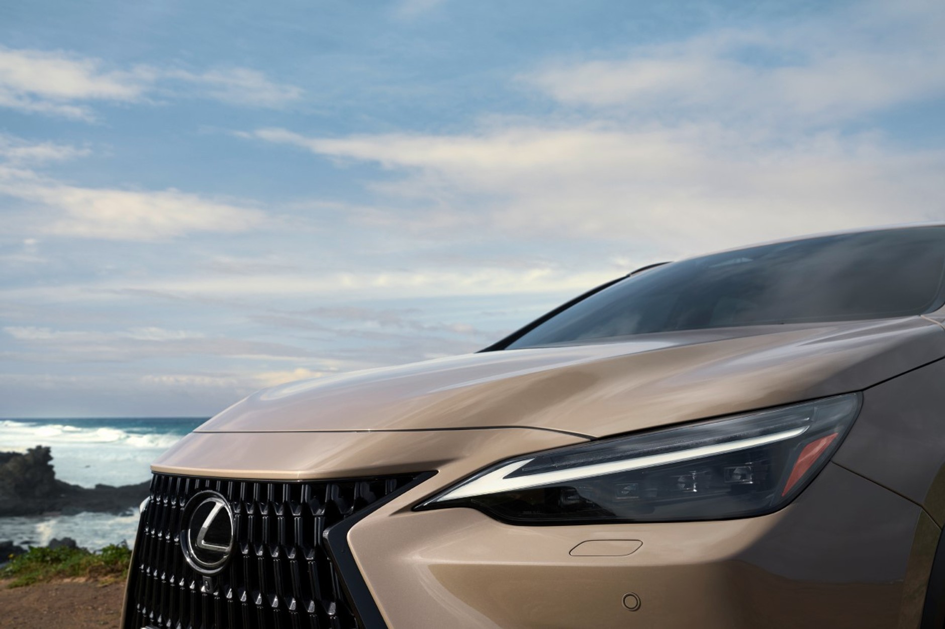 Lexus NX Overtrail
