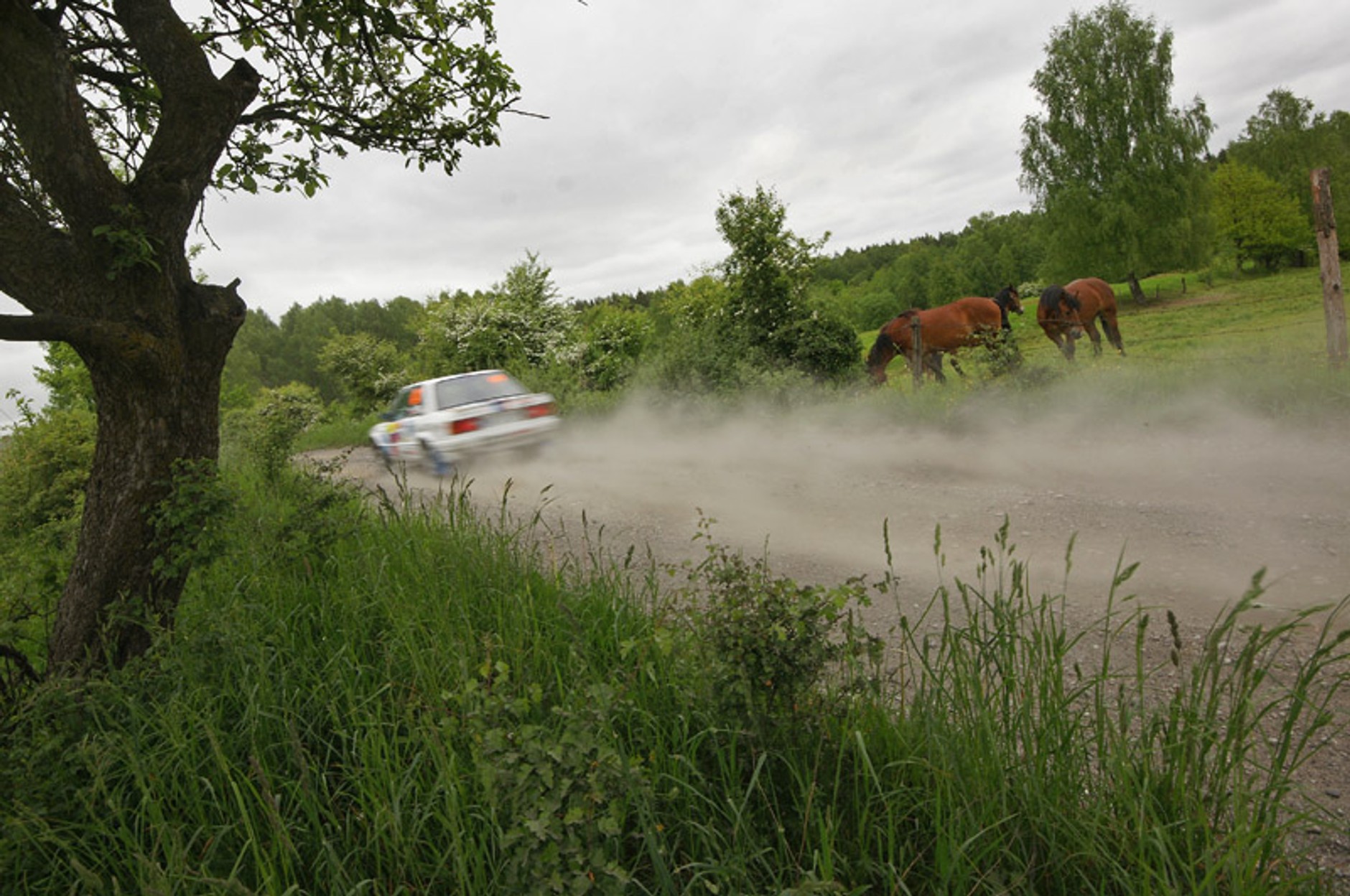 Rajd Agapit 2008: fotogaleria Dawida Konopki