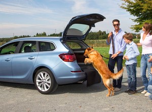 Samochód w abonamencie lub na kredyt 500, 1000, 1500 zł: jakie auto kupimy za 500+?
