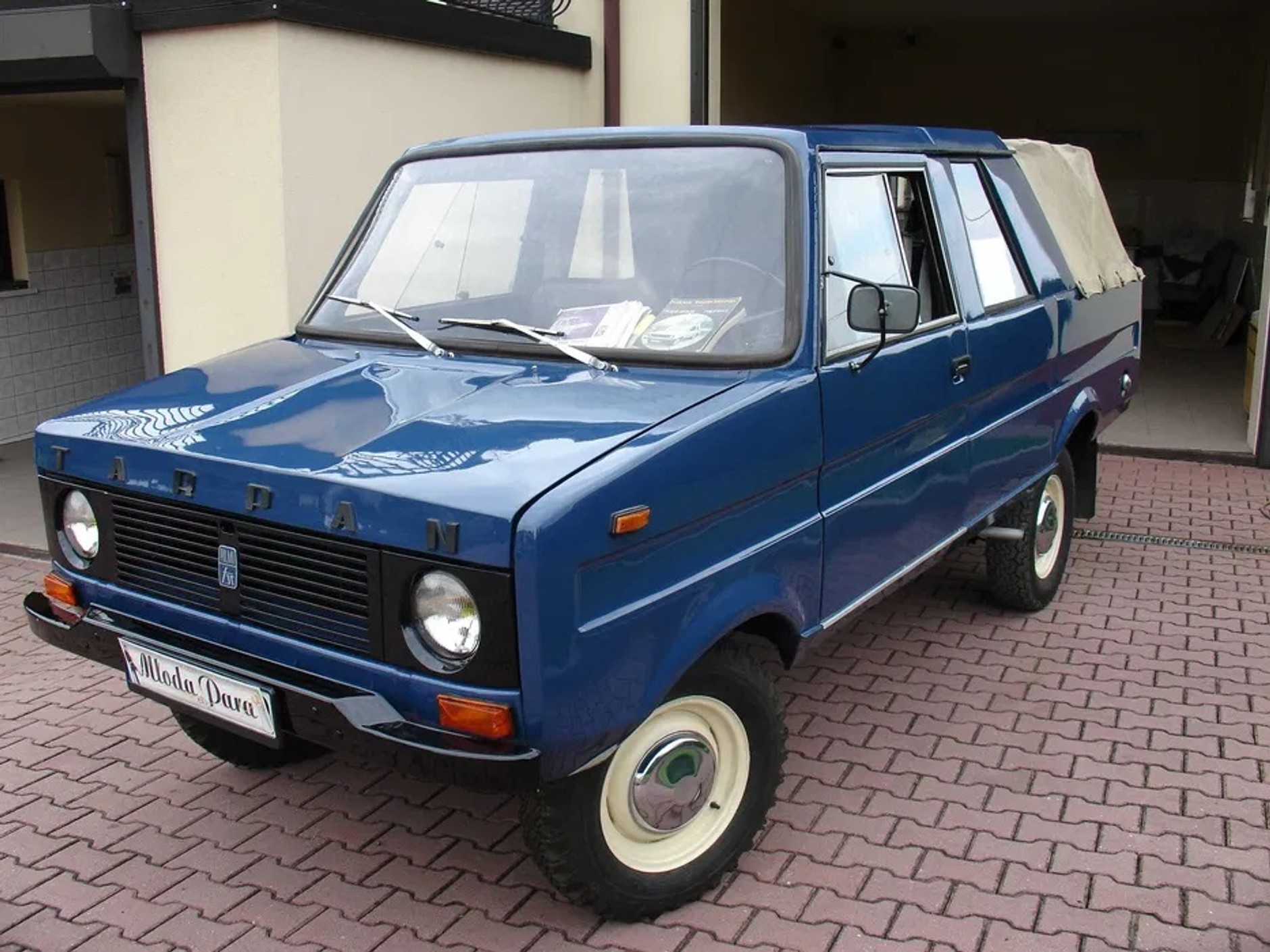 Tarpan z ogłoszenia na OLX-ie