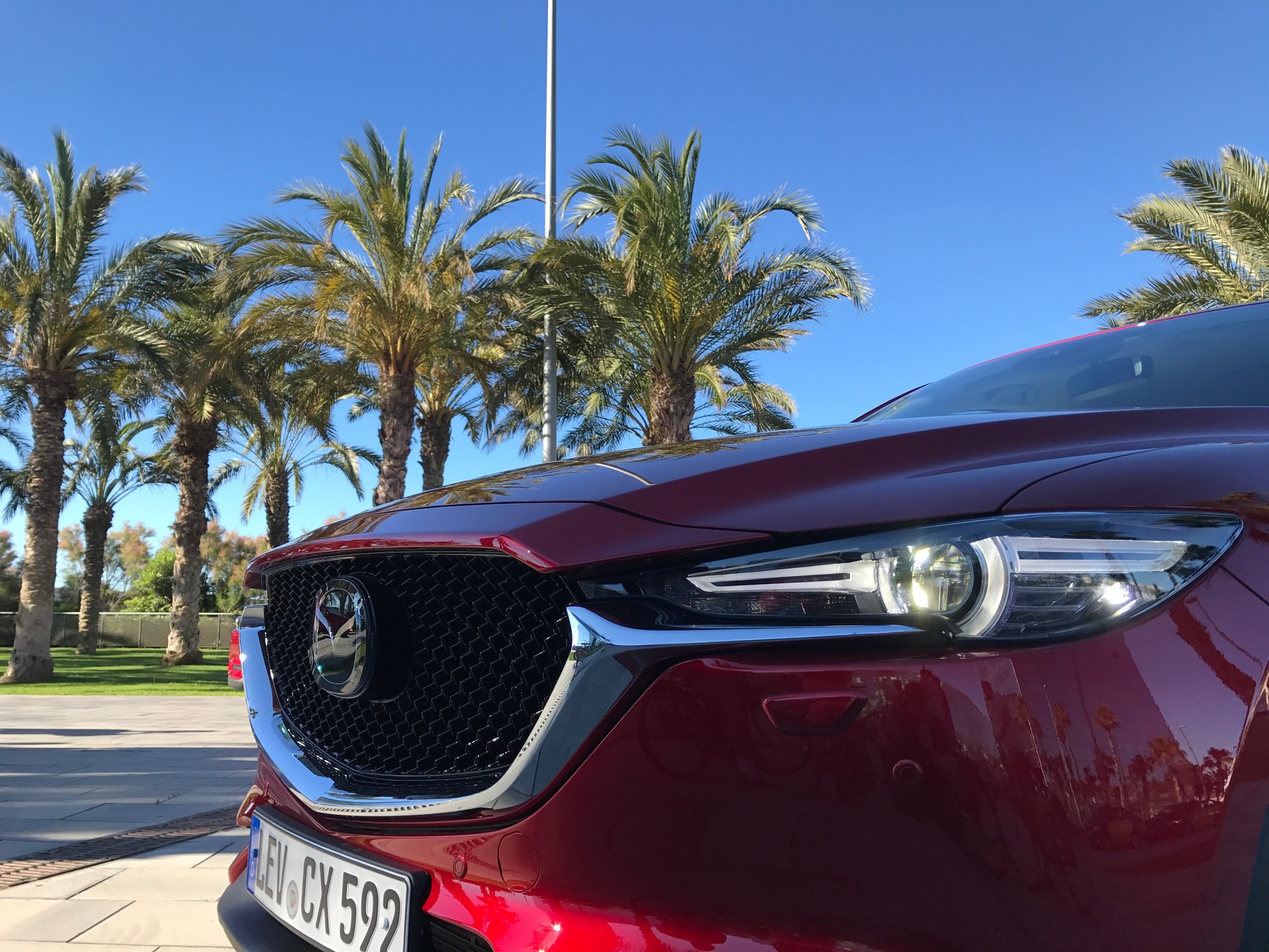 Reflektory z 12 modułami LED