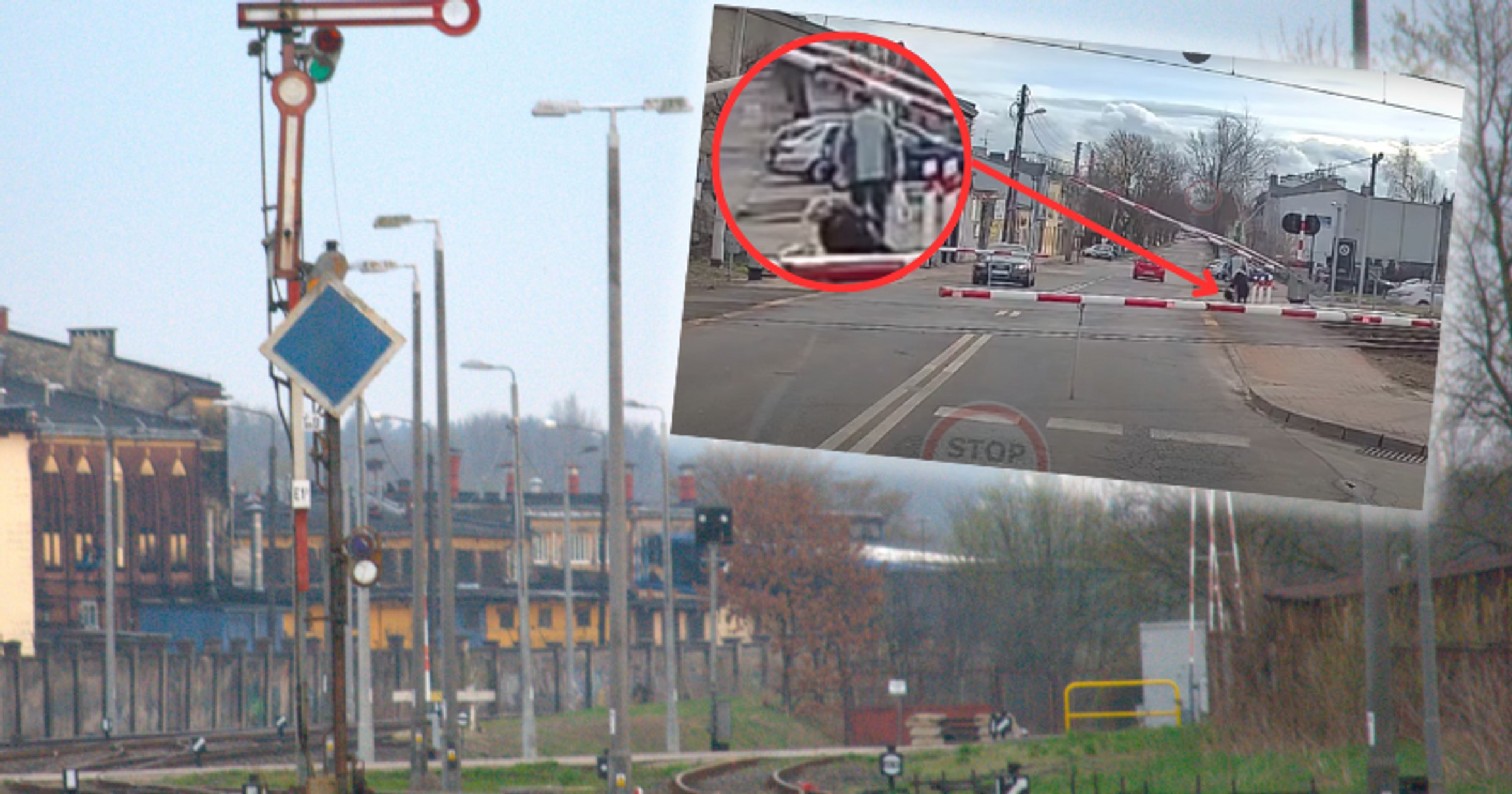 Takiego finału piesza się nie spodziewała (Screen: YouTube/StopCham)