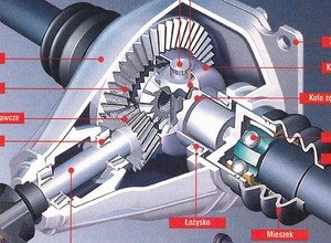 Mechanizm różnicowy - wszystko co chciałbyś o nim wiedzieć