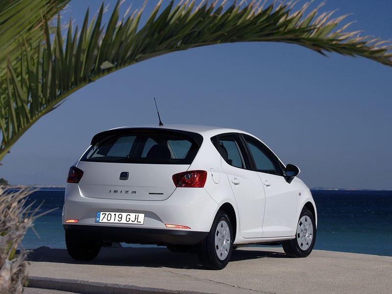 Seat Ibiza Ecomotive: Gerhard Plattner przejechał 1562 km z wynikiem 2,91 l/100 km