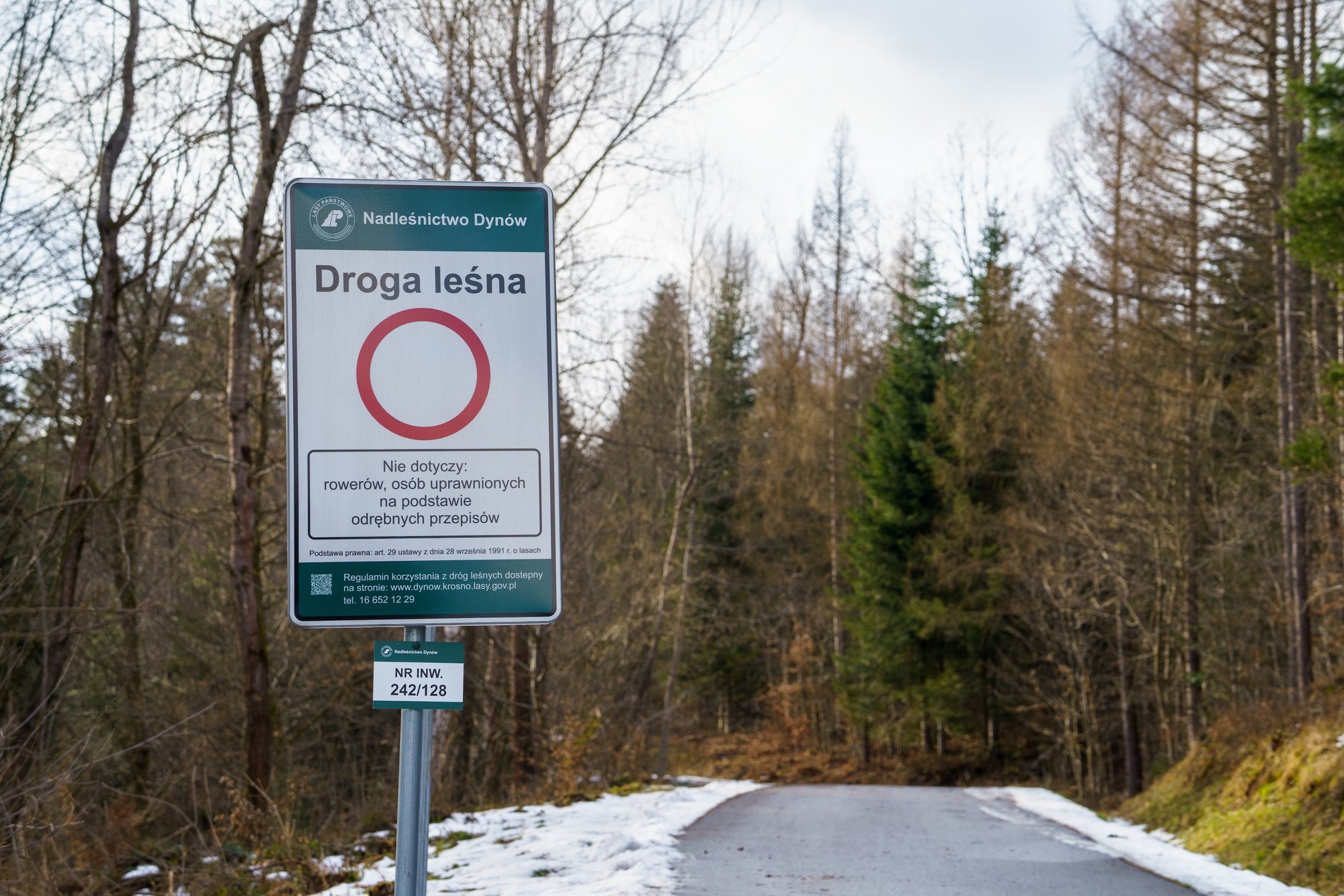 Droga leśna