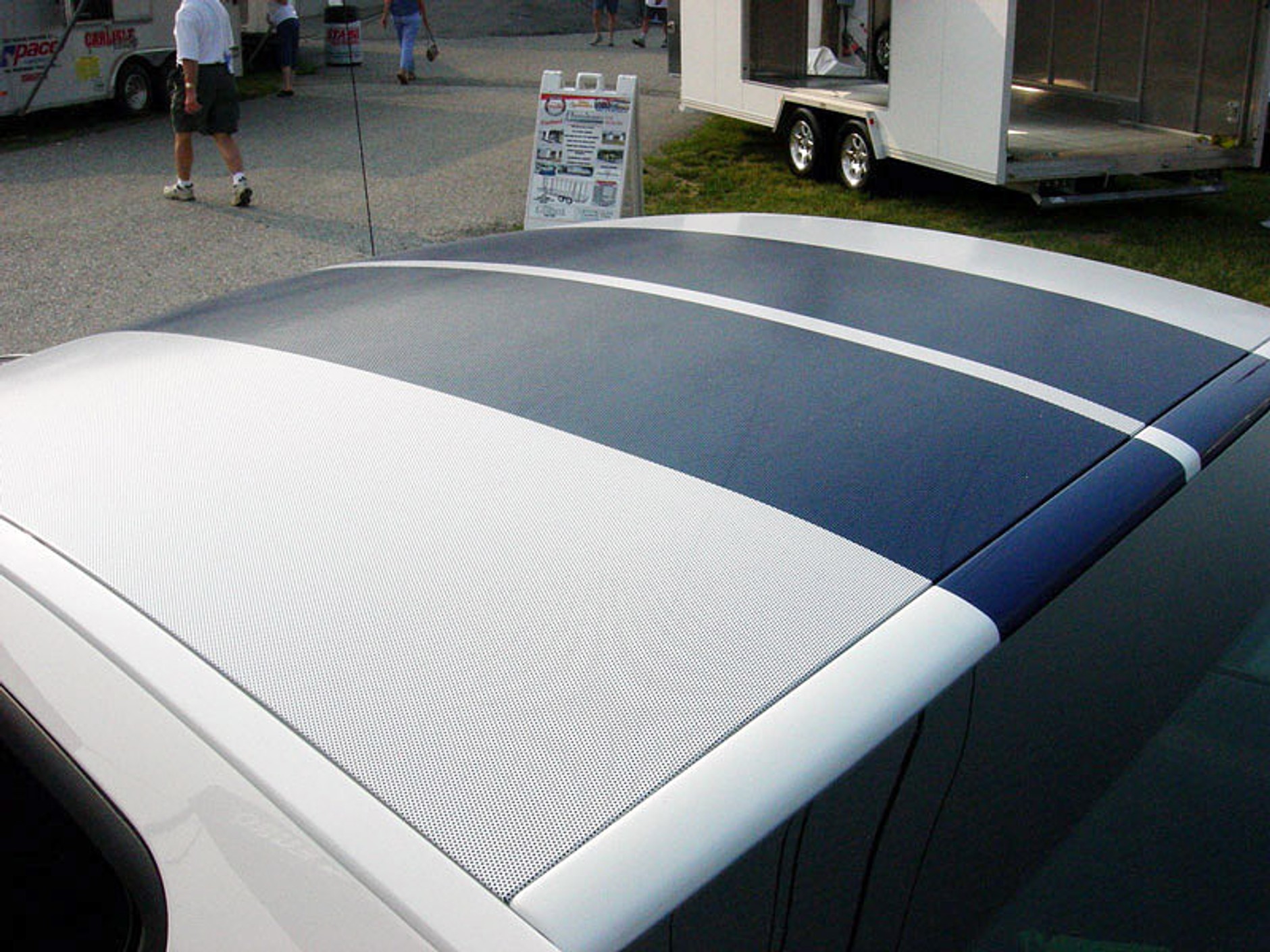 StangNet Mustang GT500: wściekła zebra