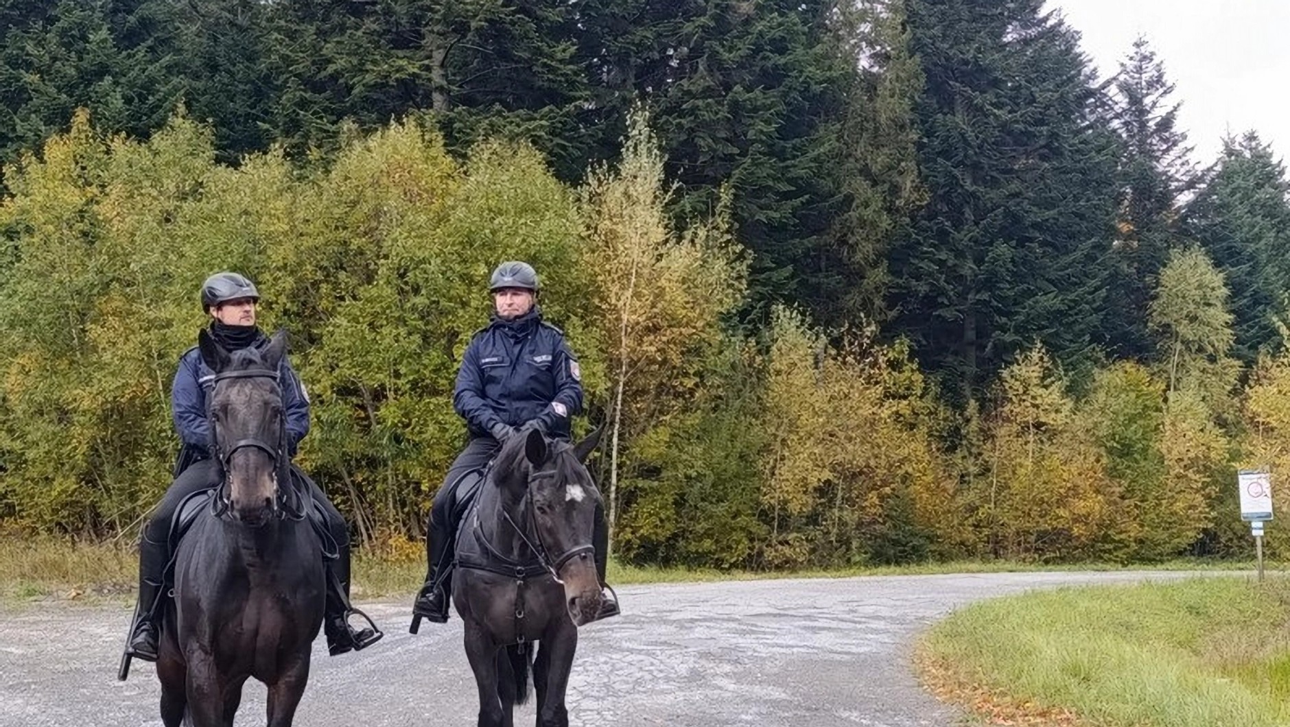 Policjanci na koniach
