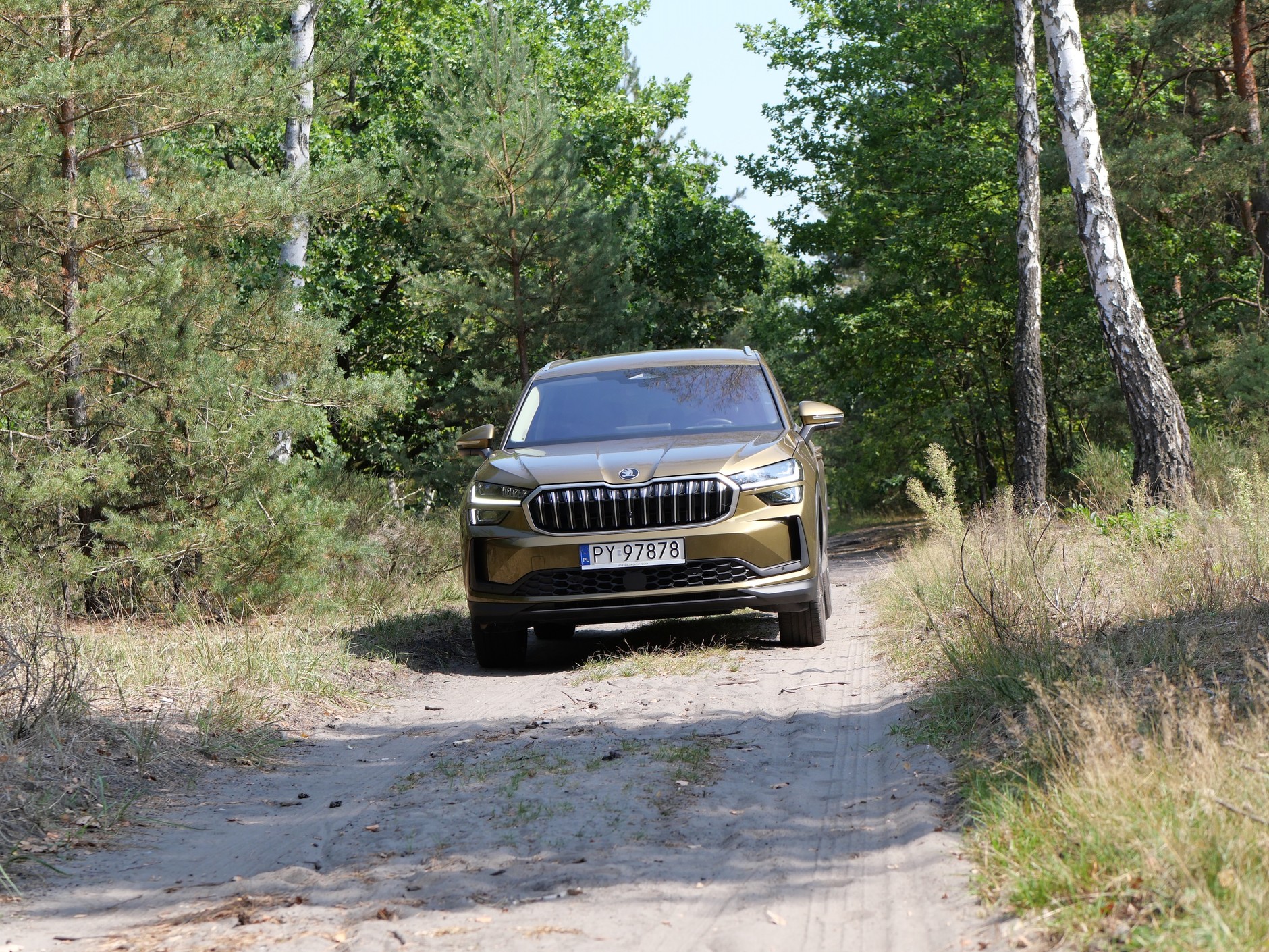 Nowa Skoda Kodiaq (2024)