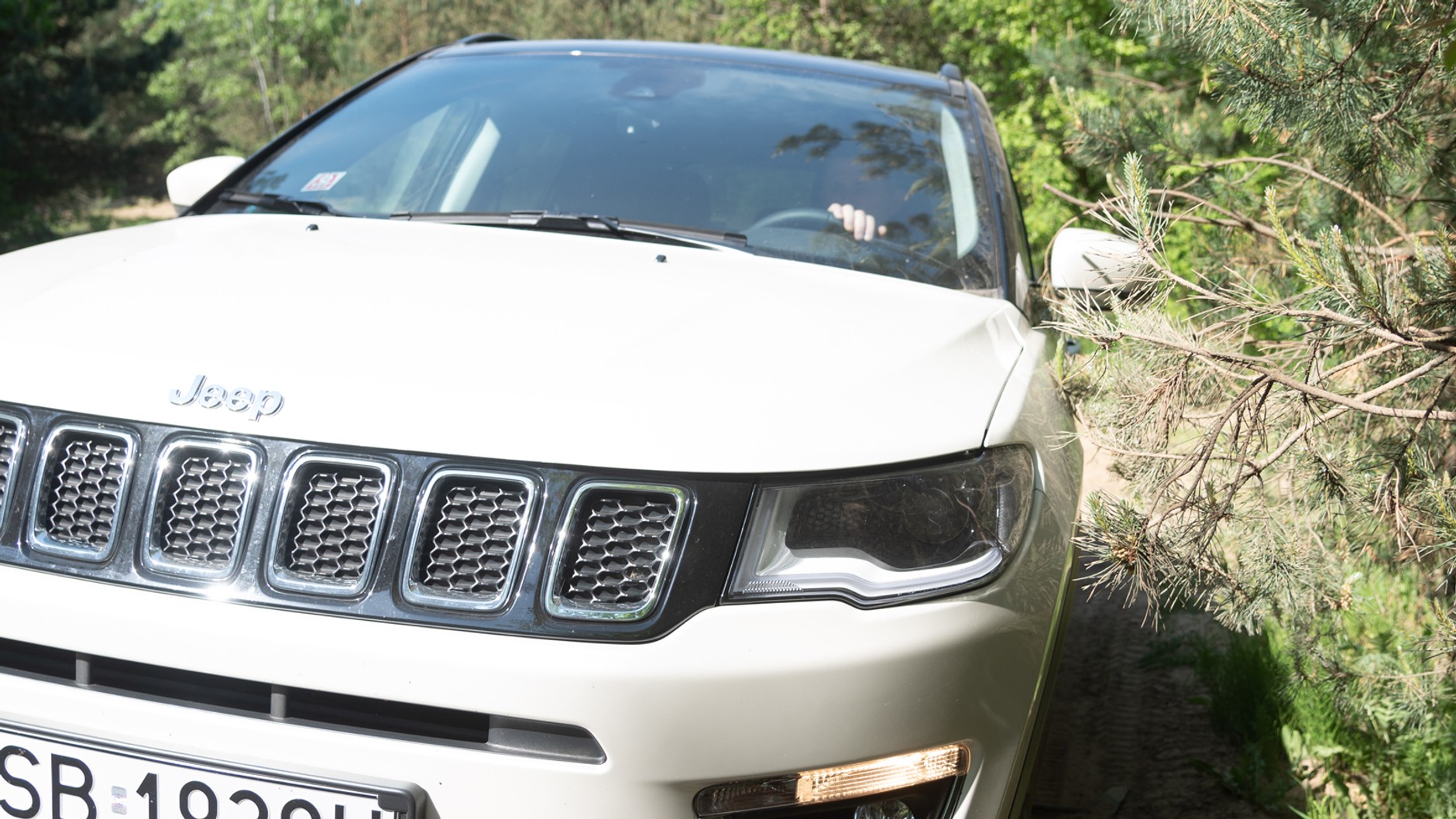 Jazda w terenie - krzaki