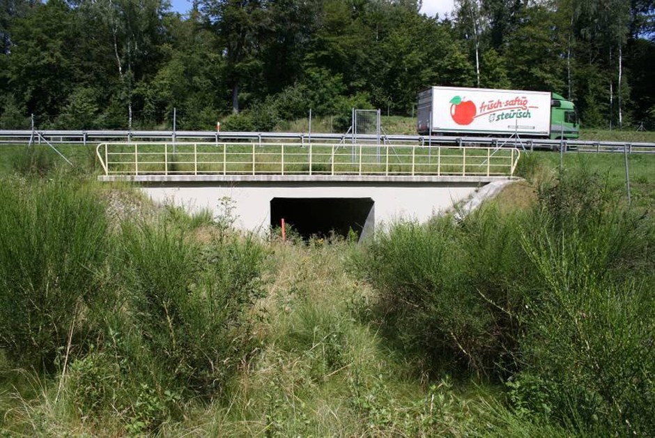 Jezdnia kontra opady deszczu - Gdzie trafia woda z drogi?