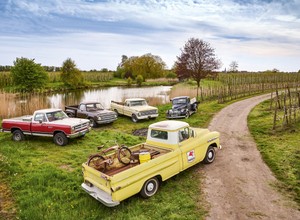 To są ikony amerykańskiej motoryzacji. Sprawdzamy klasyczne pikapy z USA