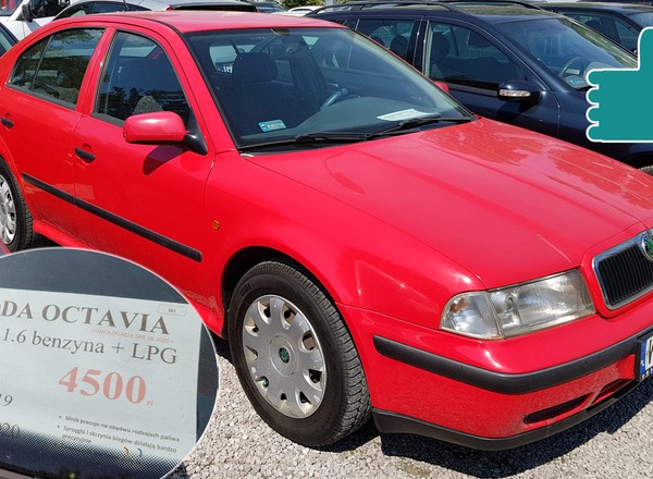 Używane auto za 5 tys. zł, które tanio naprawisz