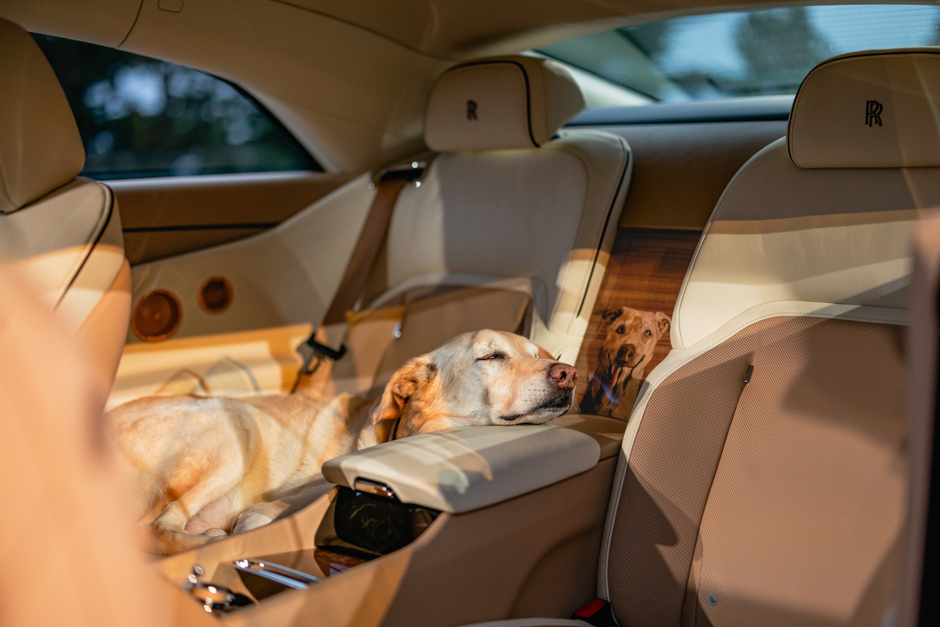 Rolls-Royce Spectre