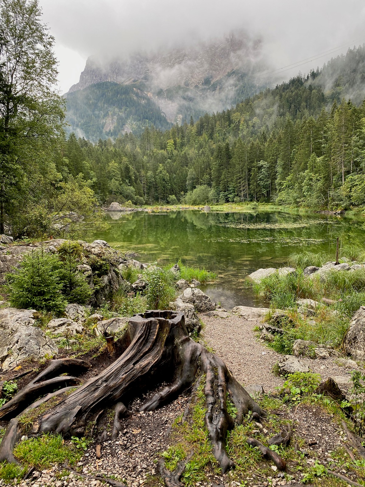 Skodą Karoq do Toskanii