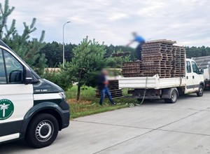 Na pace puste palety, a dmc przekroczone. Przypadek?