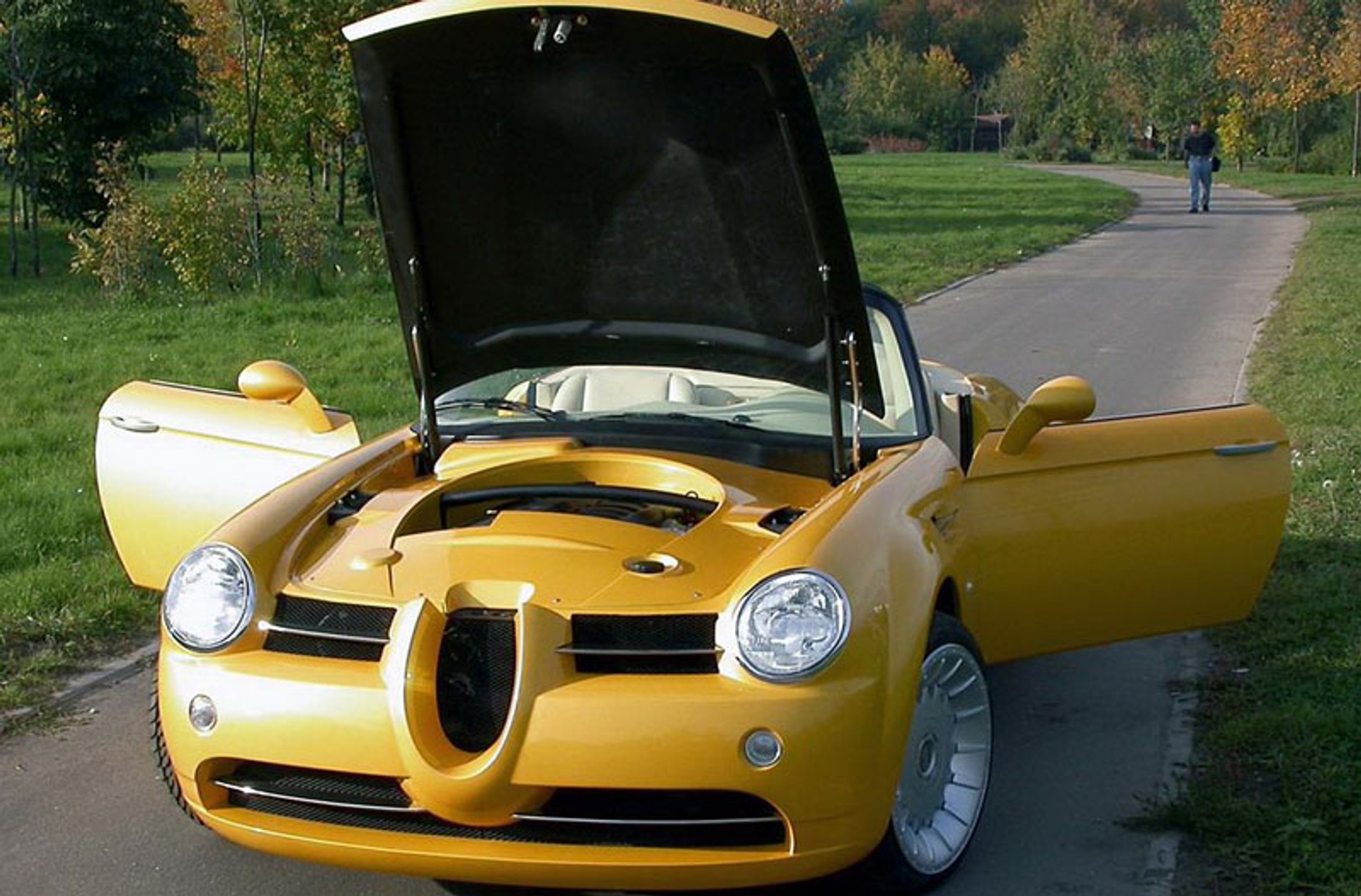 Cardi Body II: dwumiejscowy roadster z organami BMW