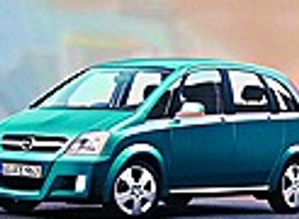 Braciszek Zafiry w drodze