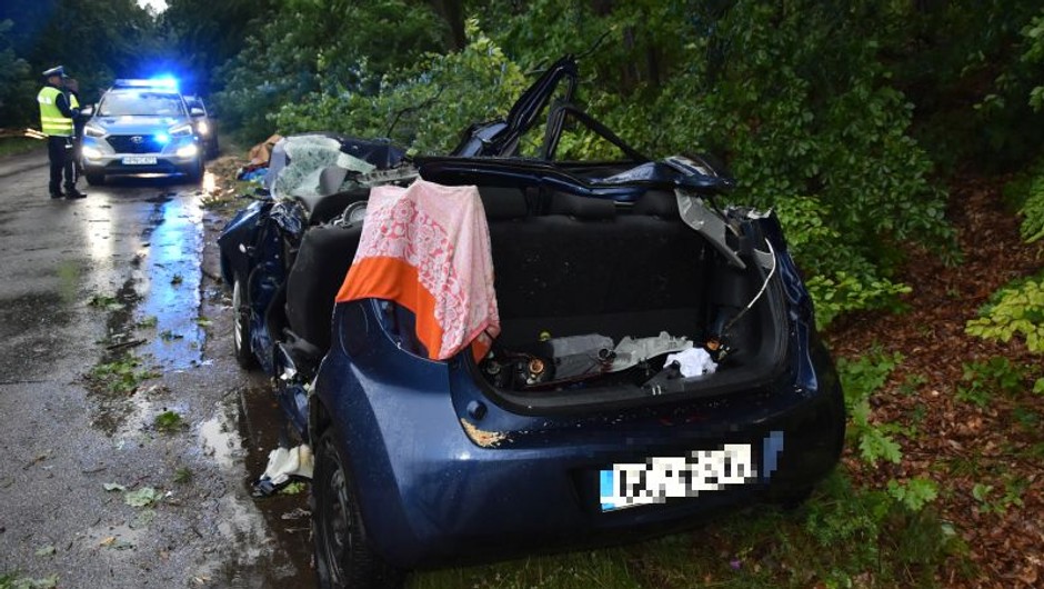 wypadek drzewo pocięty samochód