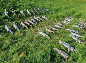 Hurtowo kradli katalizatory, mieli bezpieczną kryjówkę. O jednym nie pomyśleli