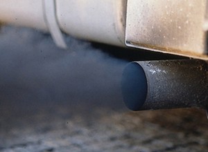 Volkswagen przeprasza za testy na... małpach