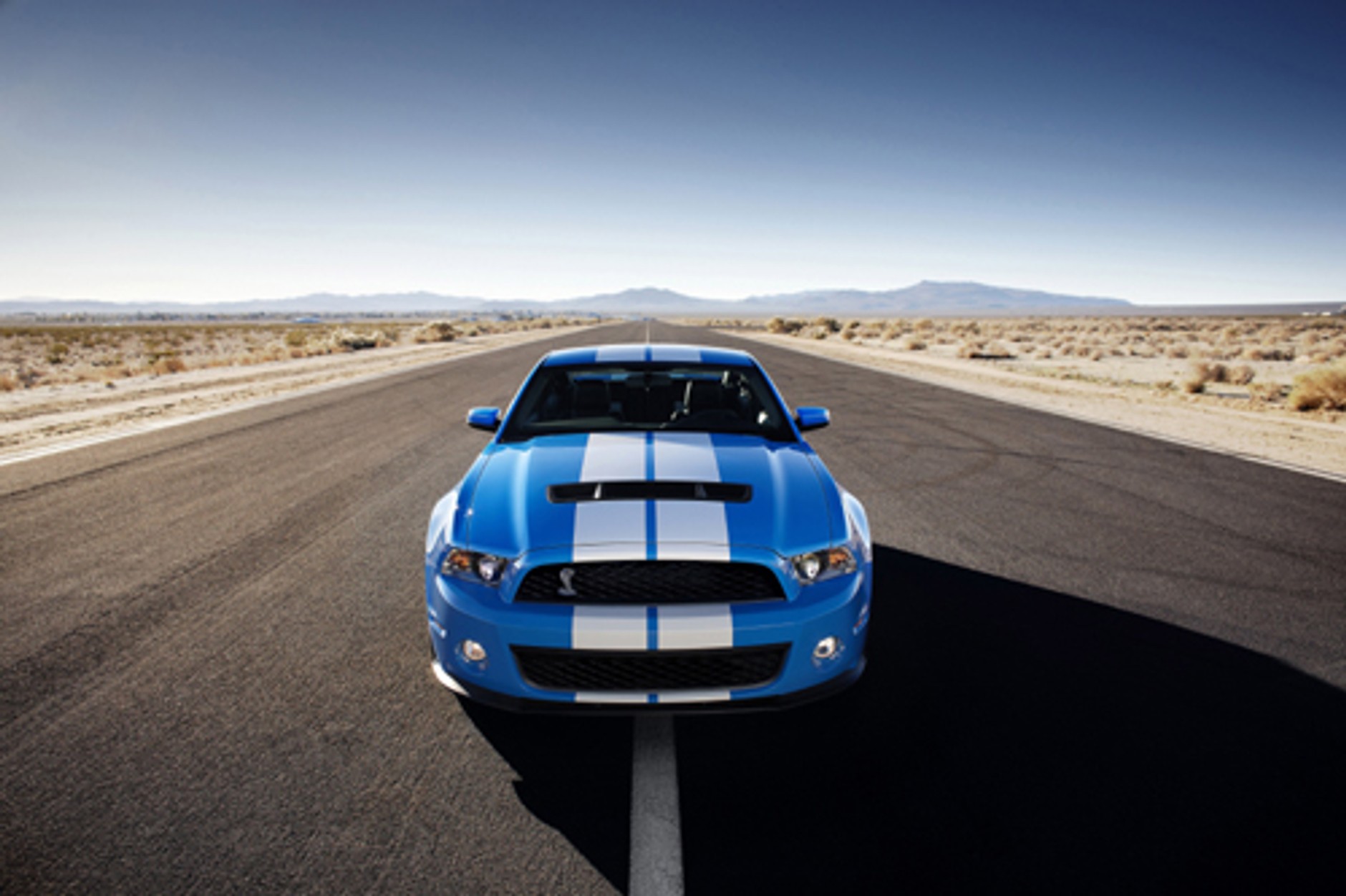 Ford Shelby GT500 - Dumny Mustang