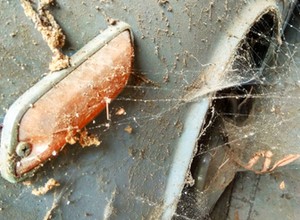 Nastolatkowie odkryli w brazylijskiej szopie imponującą kolekcję zapomnianych aut