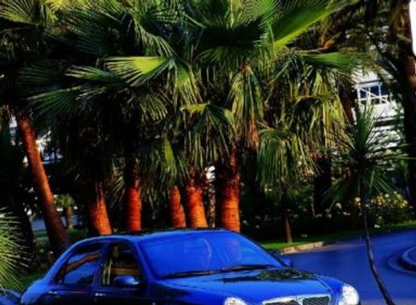 Peugeot 406, Volkswagen Passat, Lancia Lybra, Toyota Avensis - Oszczędzanie bez przerwy