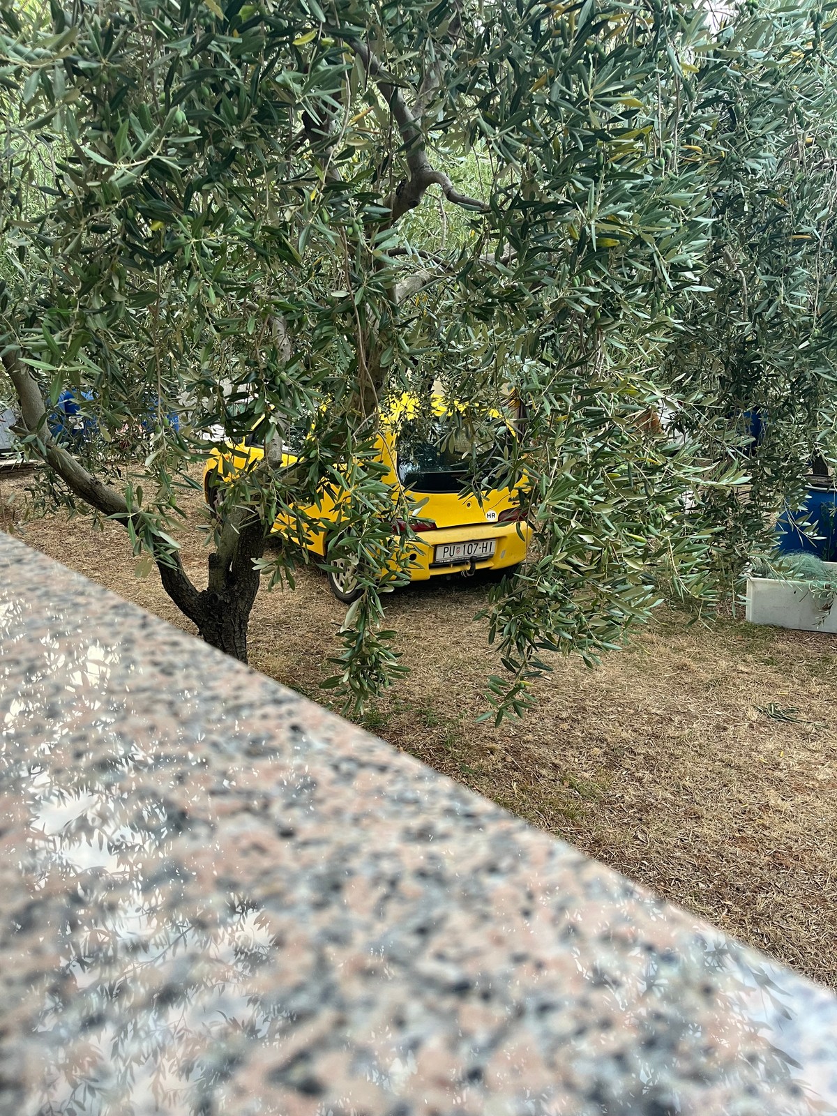 Seicento na chorwackiej posesji