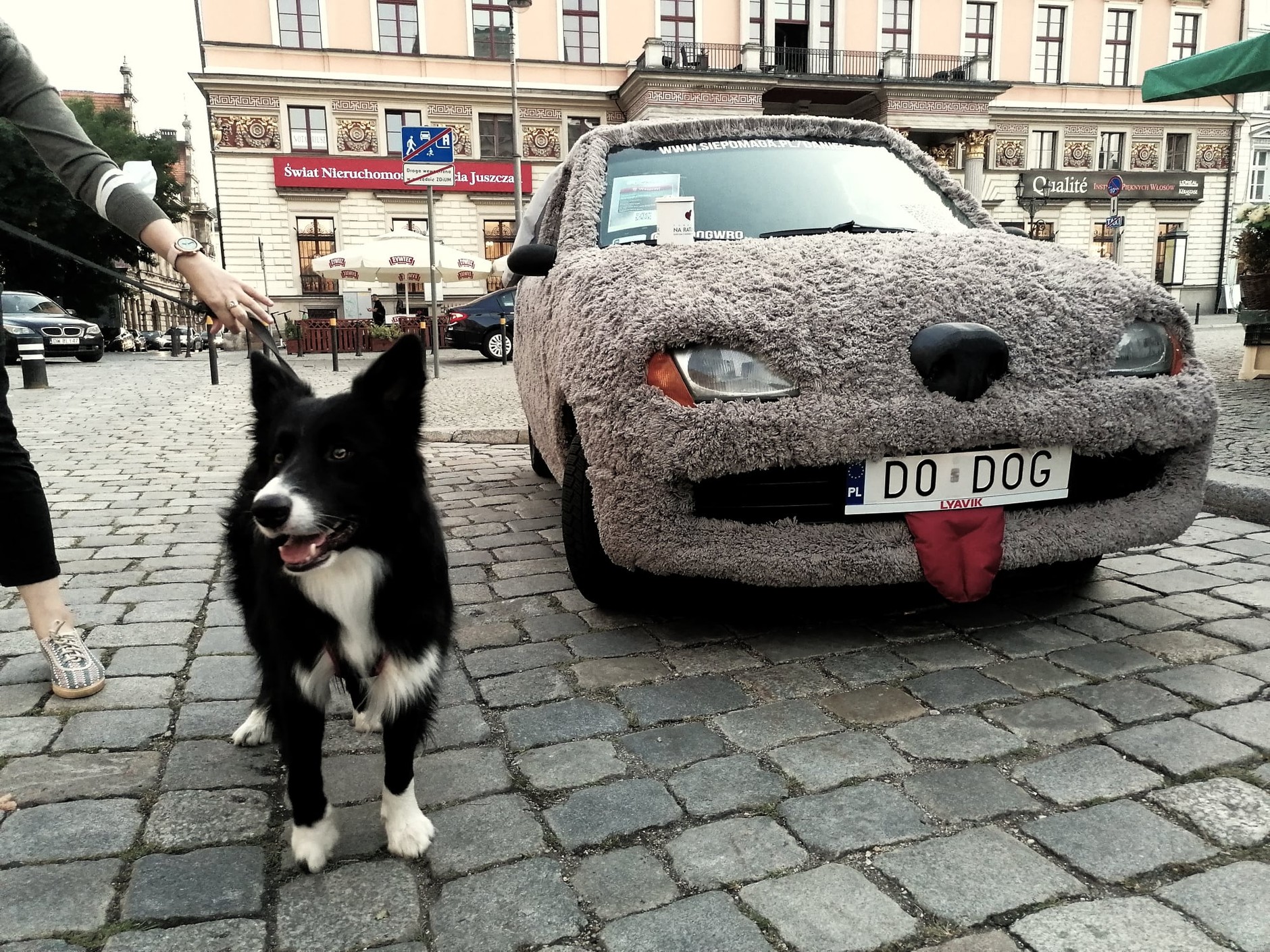 Fiat Seicento piesek Głupi i Głupszy