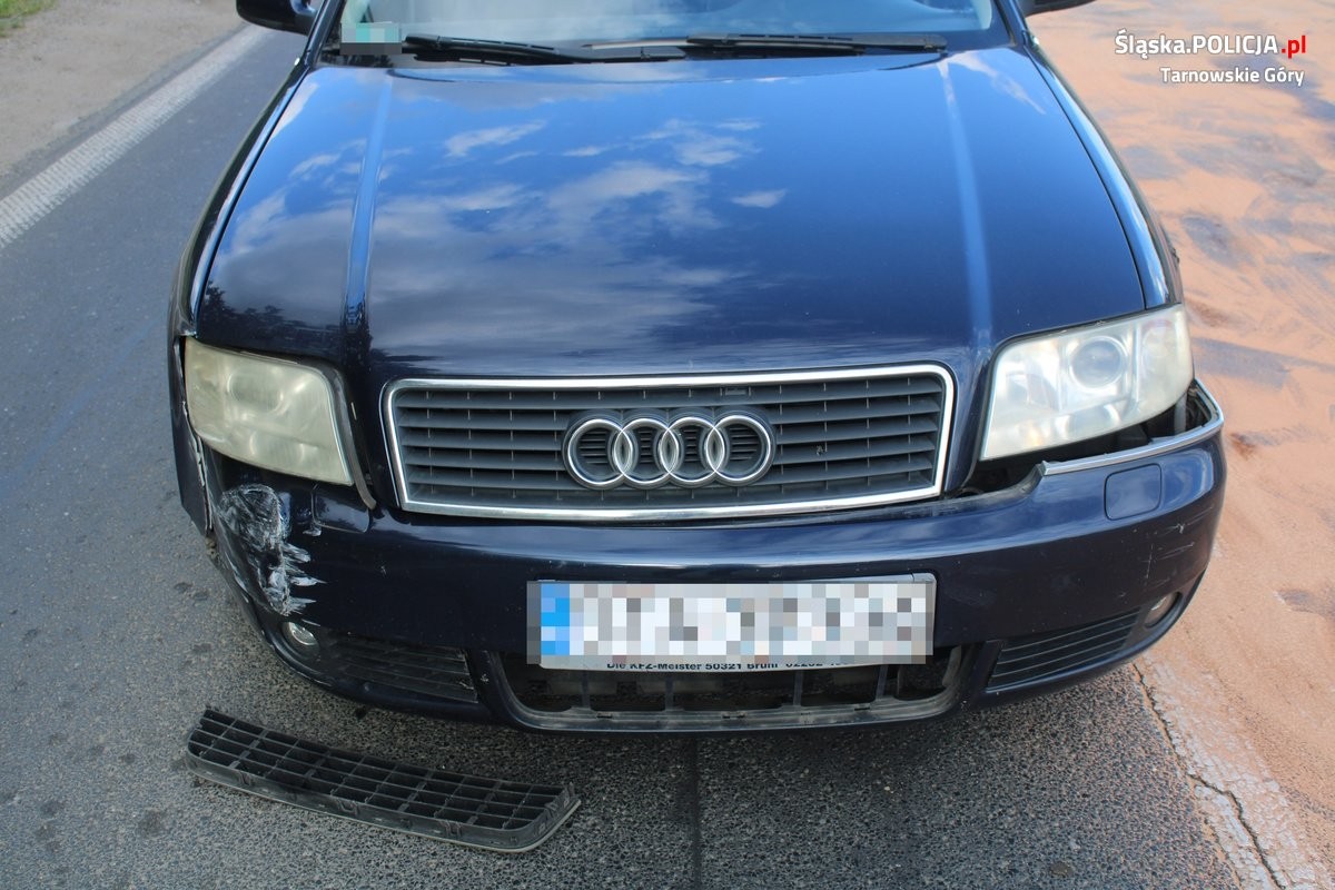 Uczyła się na prawo jazdy. Kierowca Audi nie dał jej szans