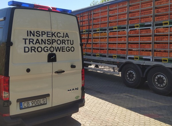 Wiózł 5 tys. kurczaków, choć nie miał uprawnień. Musiał odebrać je inny kierowca