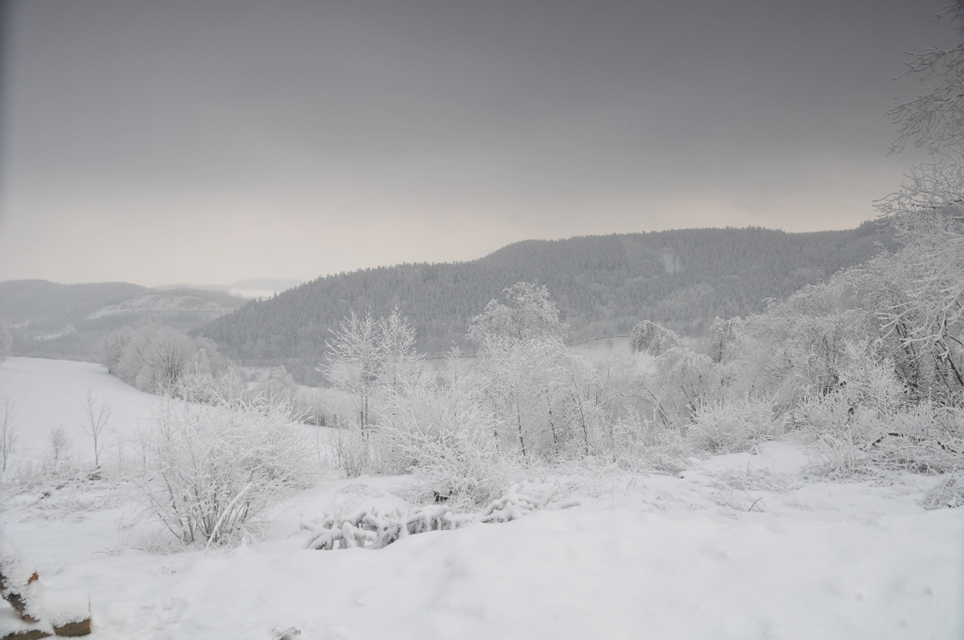 Terenowe zwiedzanie Polski