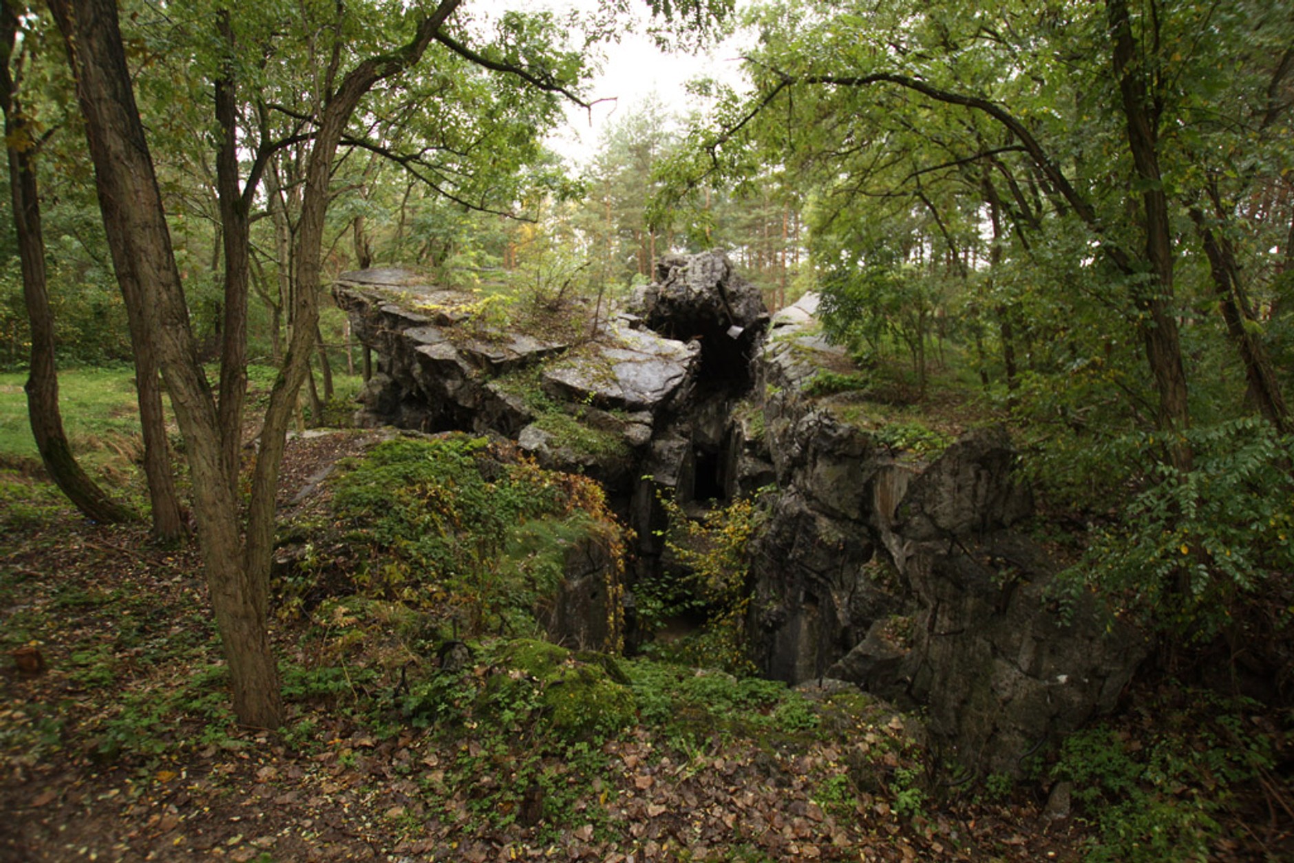 Skoda Yeti wśród fortyfikacji. 100 kilometrów bunkrów Hitlera